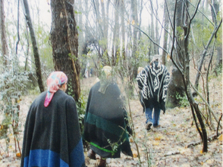 Recorriendo el camino