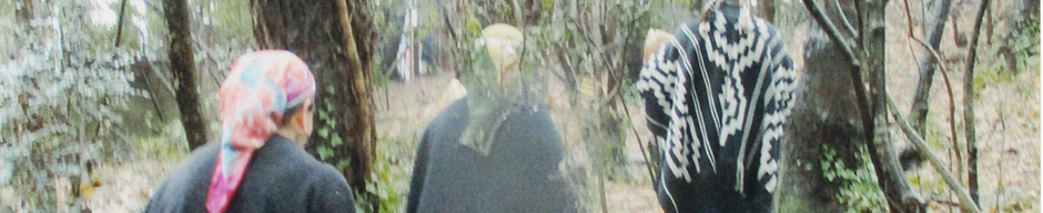 Recorriendo el camino