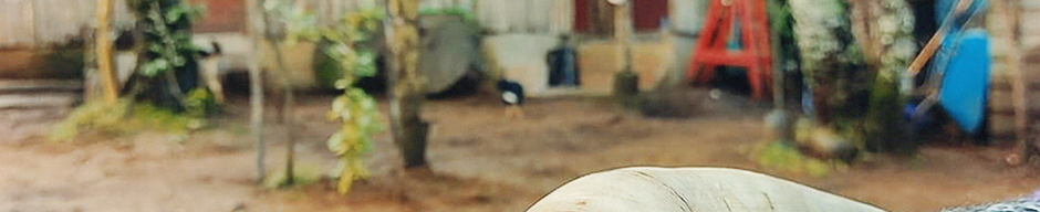 Después de la ceremonia