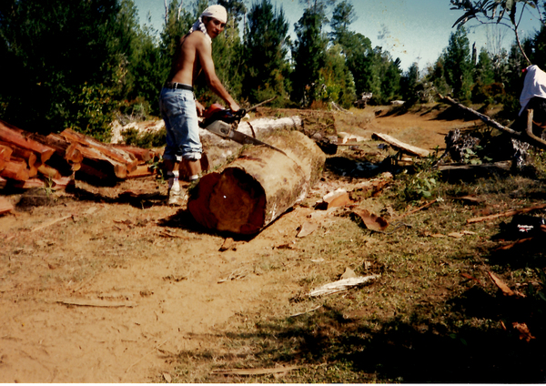 Haciendo leña