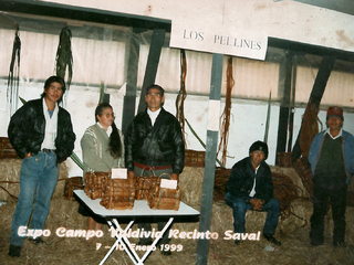 Trabajo en comunidad