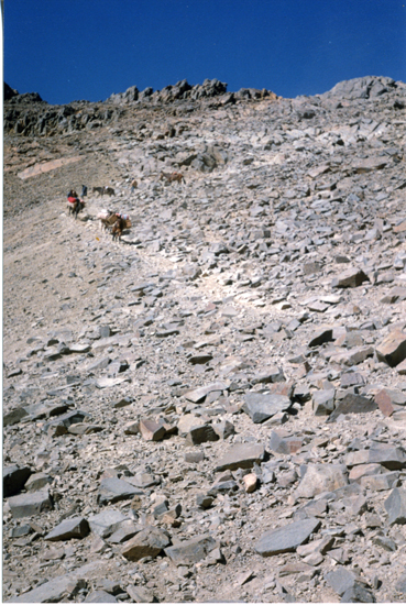 Arrieros cruzando la cordillera