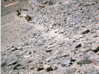 Arrieros cruzando la cordillera