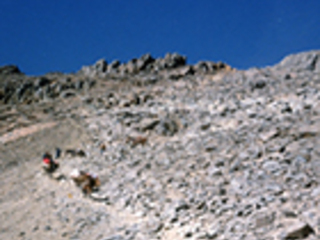 Arrieros cruzando la cordillera Arrieros cruzando la cordillera