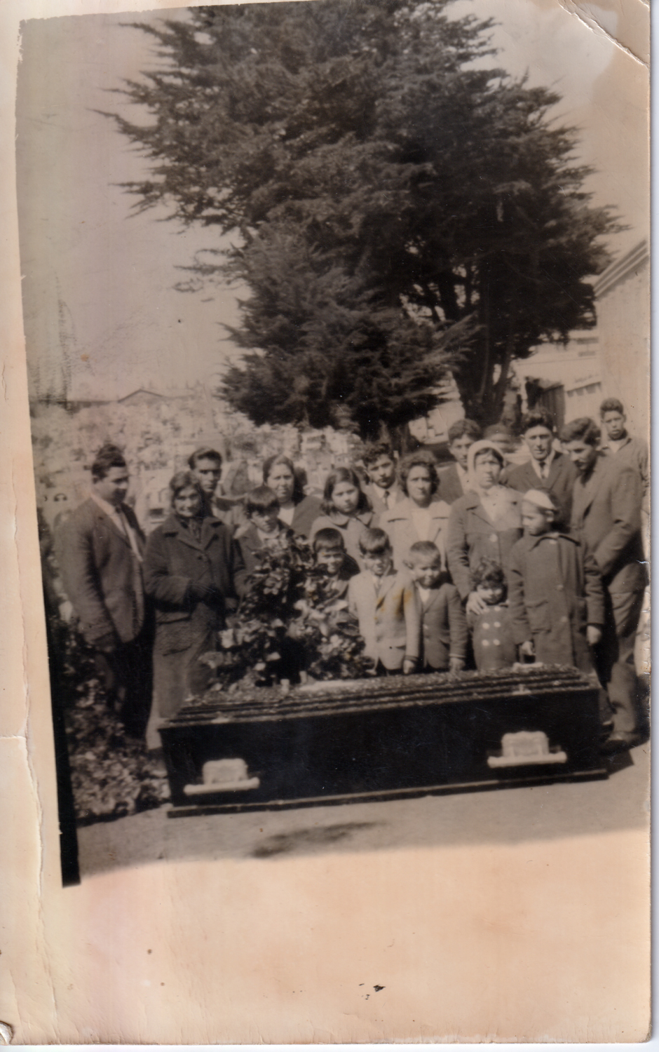 Cementerio Crucero bajo el árbol