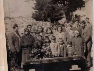Cementerio Crucero bajo el árbol