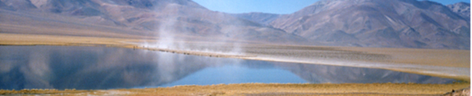 Arreo de ovejas al lado de un lago