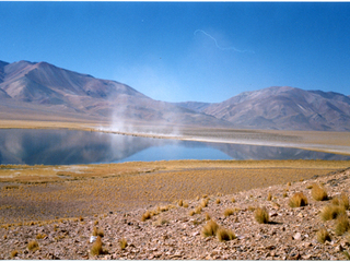 Arreo de ovejas al lado de un lago