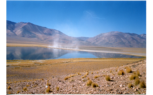 Arreo de ovejas al lado de un lago