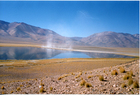 Arreo de ovejas al lado de un lago