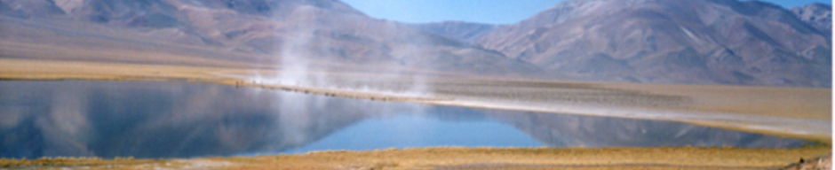 Arreo de ovejas al lado de un lago