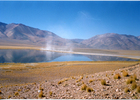 Arreo de ovejas al lado de un lago