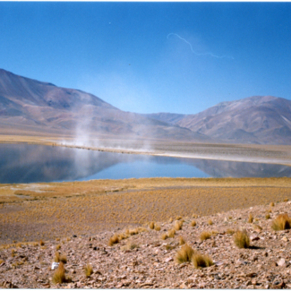 Arreo de ovejas al lado de un lago