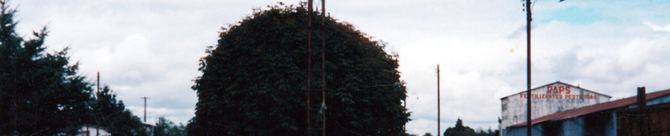 Torre de señal del tren