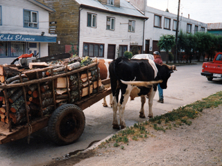 Carretonero con leña