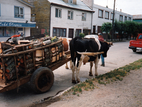 Carretonero con leña
