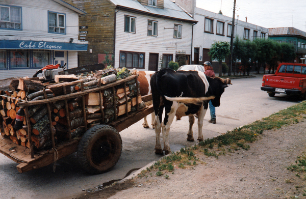 Carretonero con leña