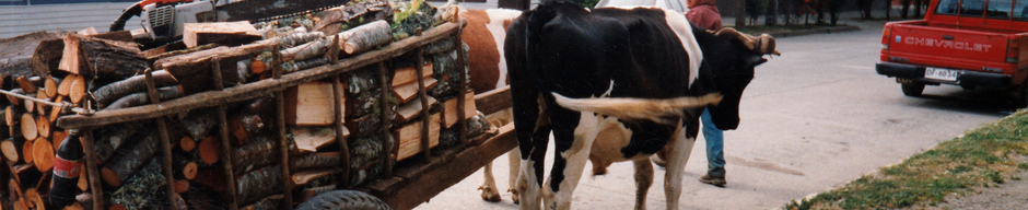 Carretonero con leña