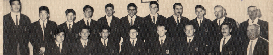 Deutscher Musik Verein