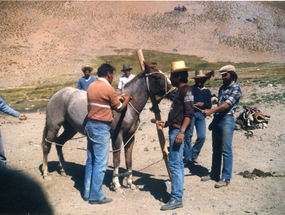 Arrieros domando un caballo