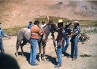 Arrieros domando un caballo