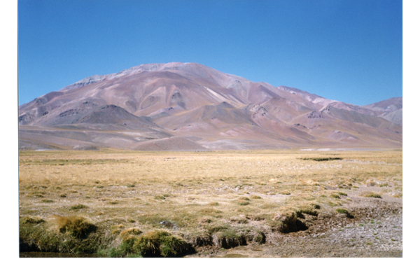 Cordillera de los Andes Cordillera de los Andes