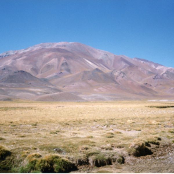 Cordillera de los Andes Cordillera de los Andes
