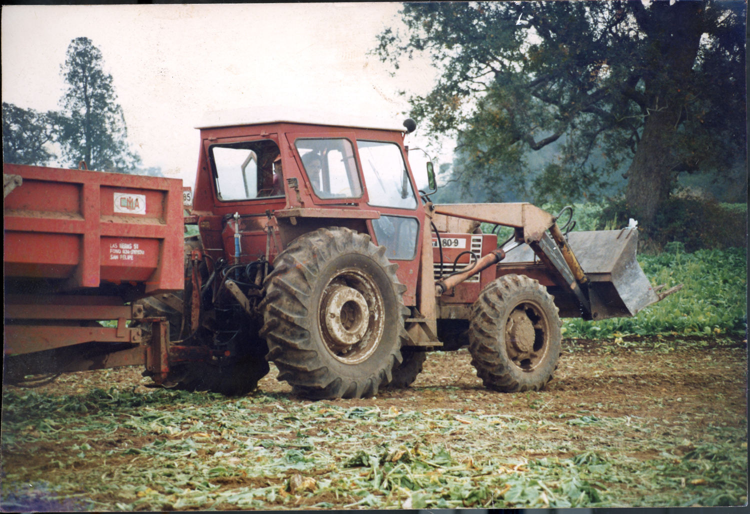 El trabajo de mi abuelo El trabajo de mi abuelo