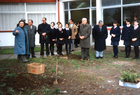 Semana del Árbol