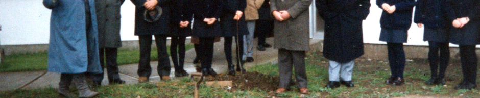 Semana del Árbol
