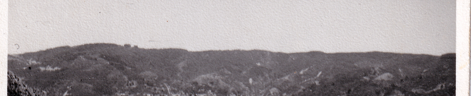 Vista de Corral desde el Fuerte Niebla