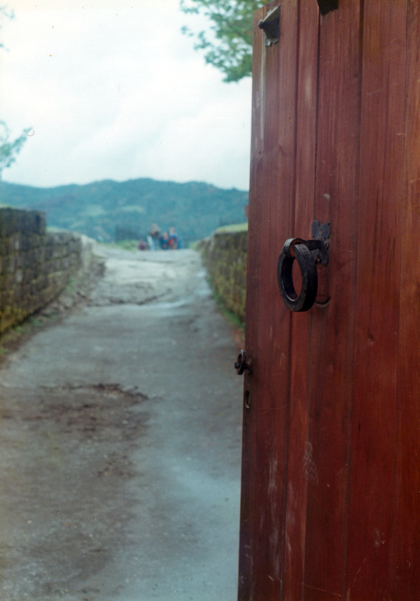 Detalle de la puerta