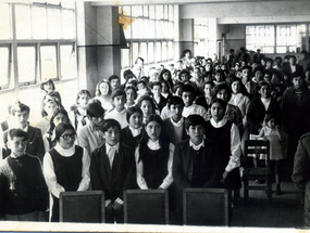 Licenciatura 8° básico