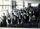 Licenciatura 8° básico