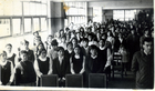 Licenciatura 8° básico