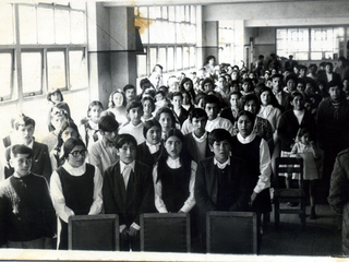 Licenciatura 8° básico