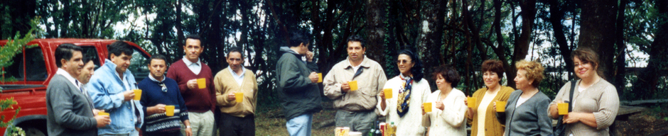 Profesores rurales comuna Lago Ranco