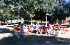 Paseo de curso 8° básico A