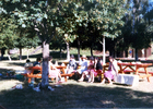 Paseo de curso 8° básico A