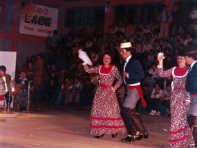 Gimnasio municipal de Los Lagos