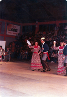 Gimnasio municipal de Los Lagos