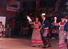 Gimnasio municipal de Los Lagos