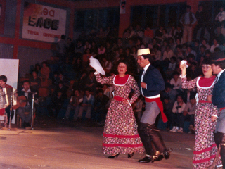 Gimnasio municipal de Los Lagos