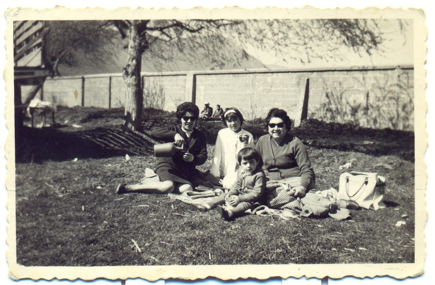 Picnic Picnic