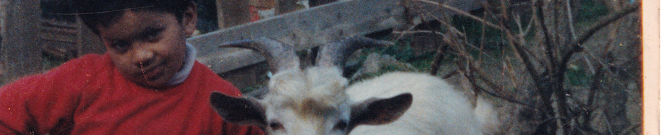 La mascota de la familia