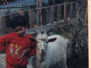 La mascota de la familia