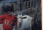 La mascota de la familia