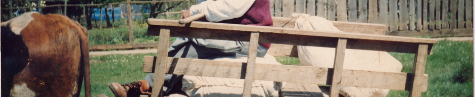 Mi papá