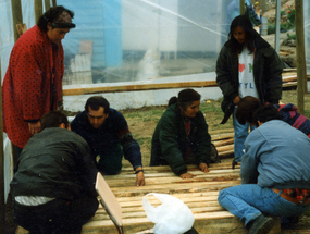 Construcción de vivero