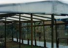 Vivero